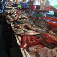Choosing our seafood
