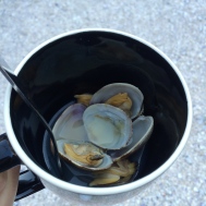 Welcomed w/ fresh clams | Tillicum Island